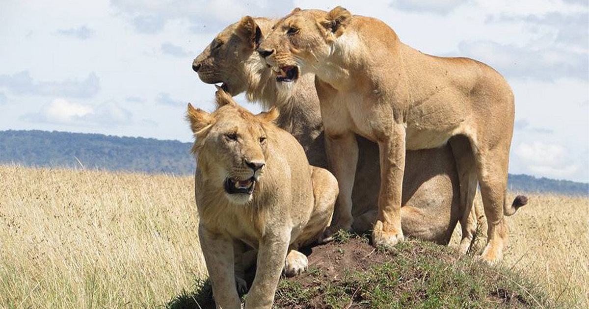 Attractions in Kidepo Valley National Park