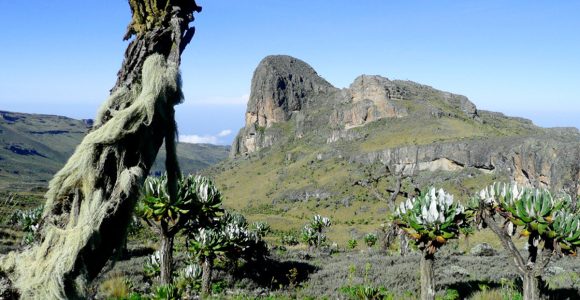 Attractions in Mount Elgon National Park